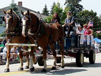 Clydesdales