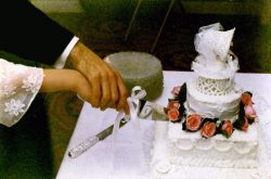 the first cut