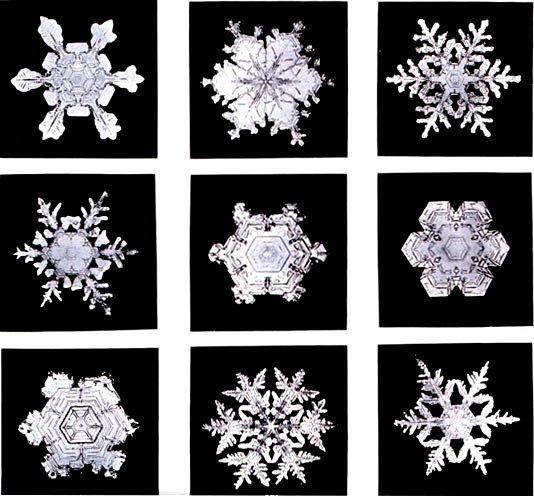  snowflakes